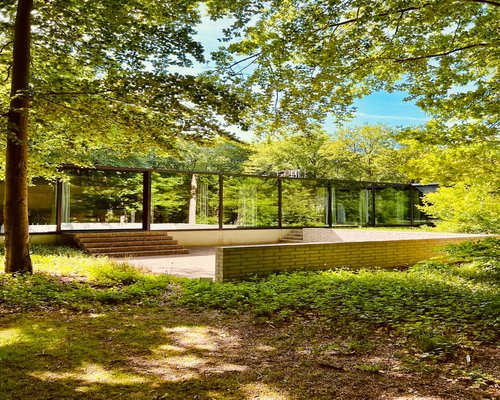 A glass of water beside open space overlooking green trees